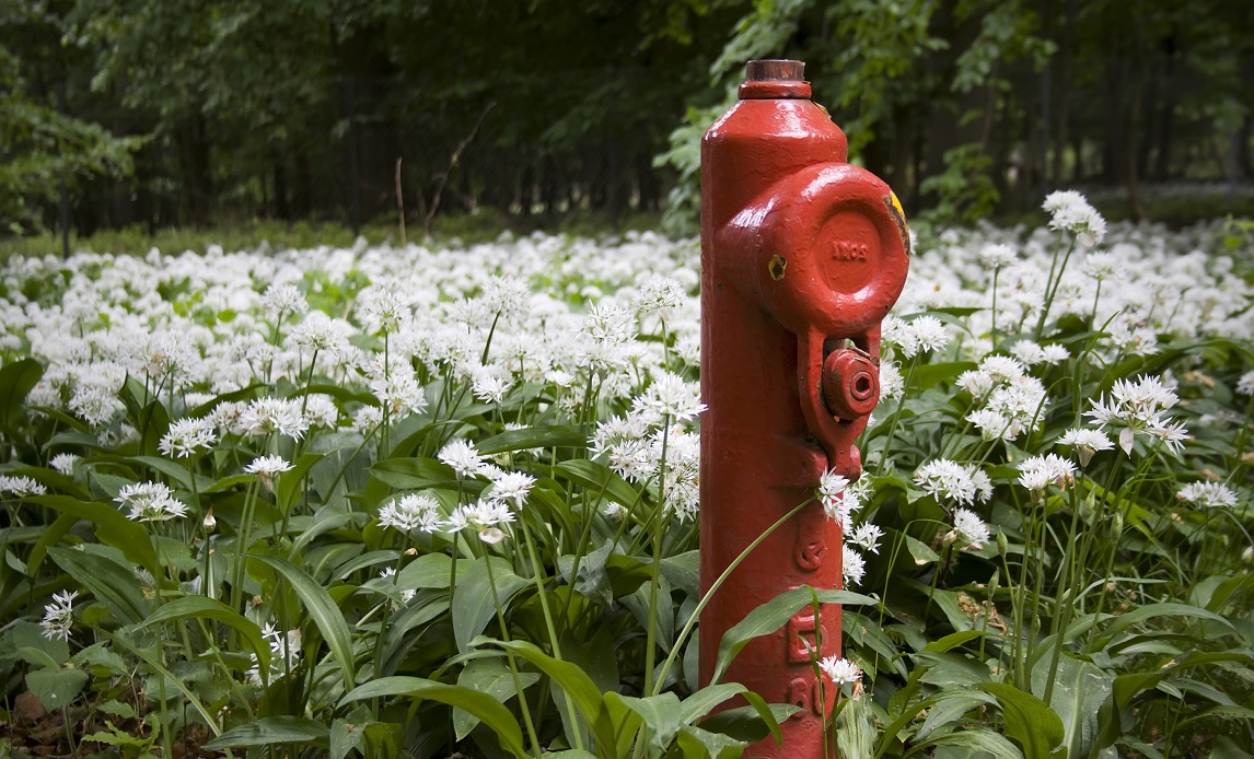 vandforsyning-artikel