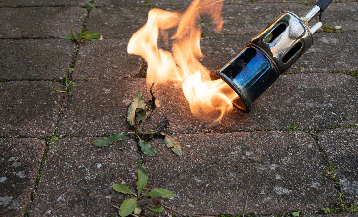 Person bruger en ukrudtsbrænder til at brænde ukrudt.